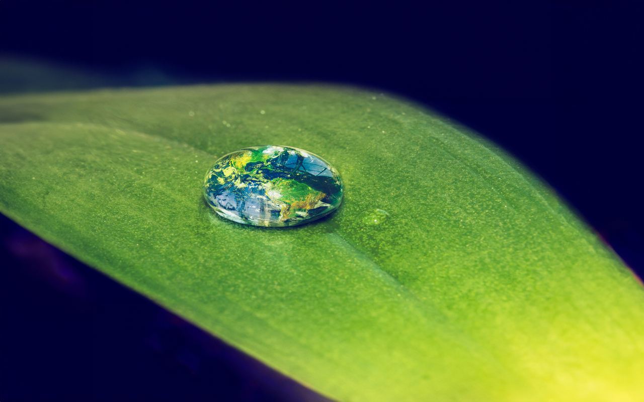 Súmate al cambio:  Acciones simples para frenar el cambio climático